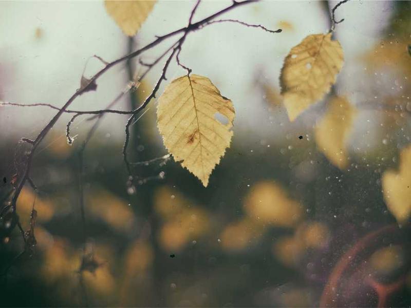 Arrampicata Sportiva a Cala Gonone