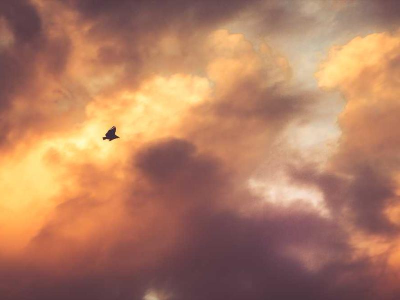 Tour Archeologico dei Nuraghi